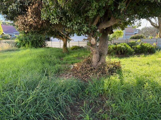 0 Bedroom Property for Sale in Tergniet Western Cape